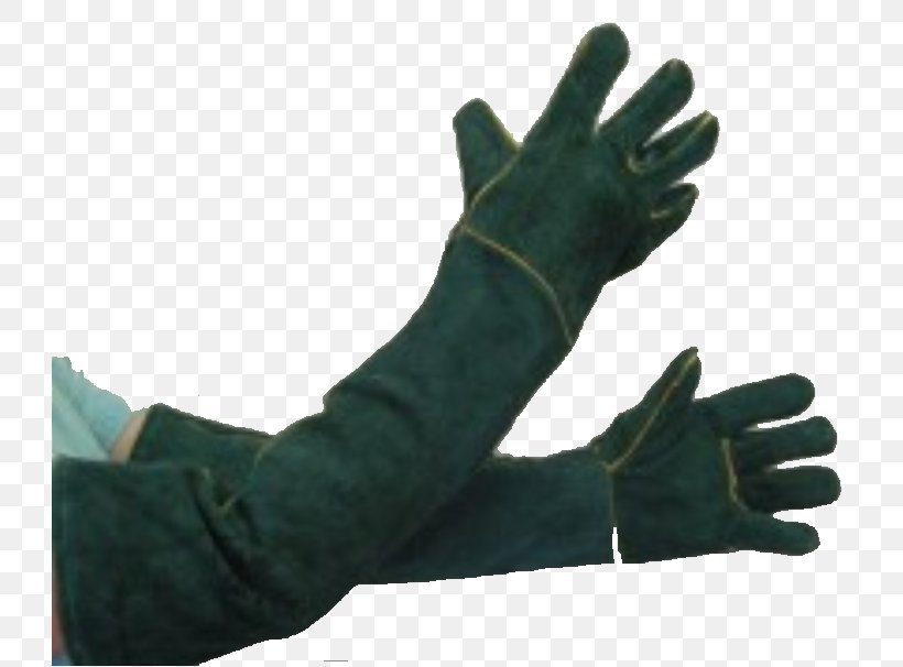 Finger Glove Safety, PNG, 728x606px, Finger, Formal Gloves, Glove, Hand, Safety Download Free