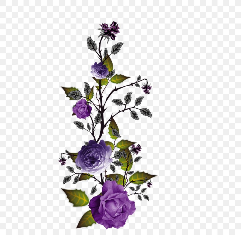 Floral Design Purple Flower Image, PNG, 427x800px, Floral Design, Color, Cut Flowers, Designer, Drawing Download Free