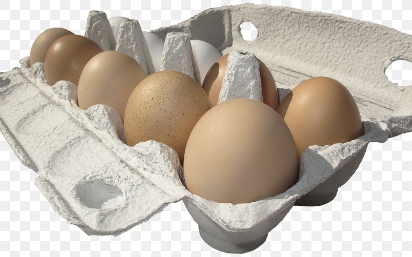 Chicken Fried Egg Egg Carton Hen, PNG, 1280x800px, Chicken, Cardboard, Carton, Chicken Egg, Choux Pastry Download Free