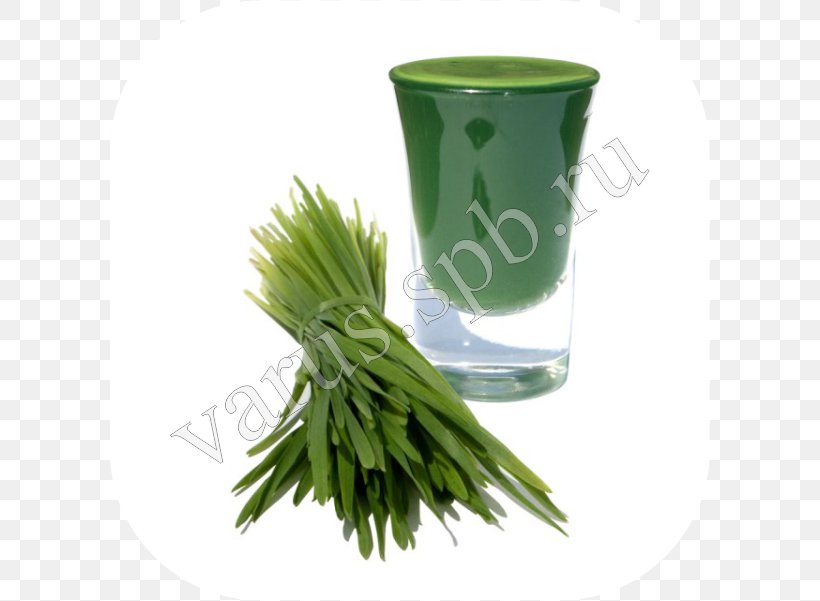 Juice Spelt Wheatgrass Health Farro, PNG, 601x601px, Juice, Barley, Cereal, Commodity, Detoxification Download Free