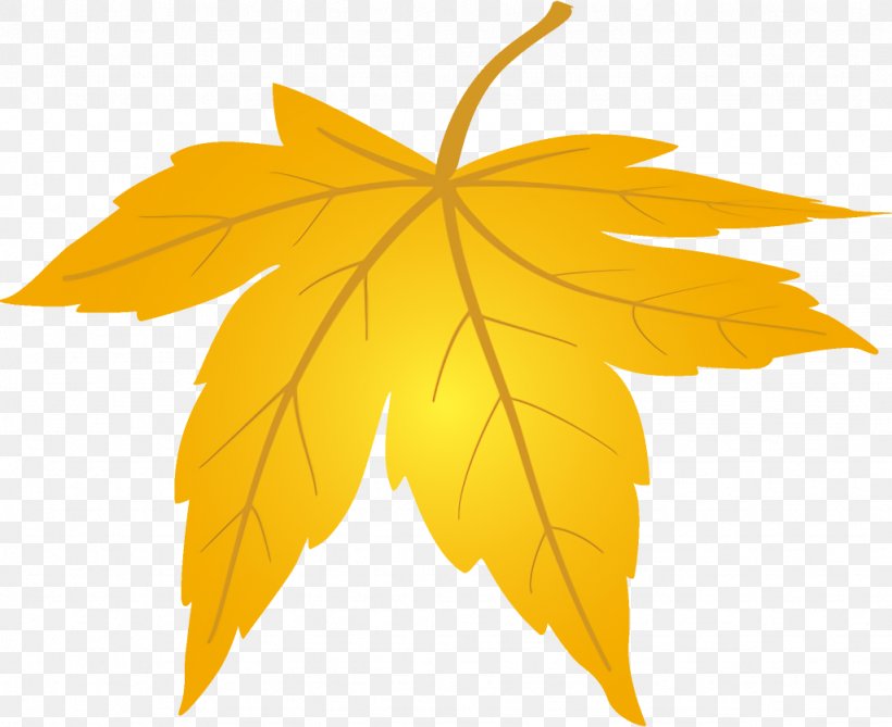 Maple Leaf Fallen Leaf Dead Leaf, PNG, 1024x836px, Maple Leaf, Autumn Leaf, Black Maple, Dead Leaf, Fallen Leaf Download Free