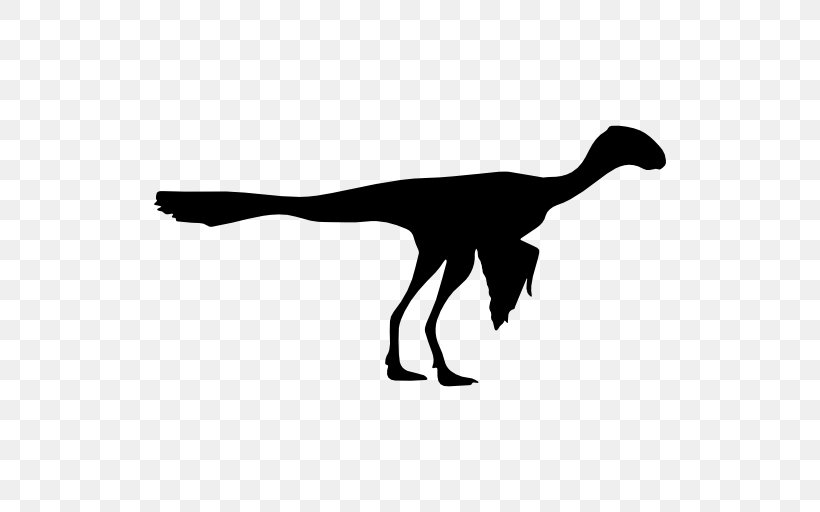 Archaeopteryx Bird Epidexipteryx Dinosaur Clip Art, PNG, 512x512px, Archaeopteryx, Animal, Beak, Bird, Black And White Download Free