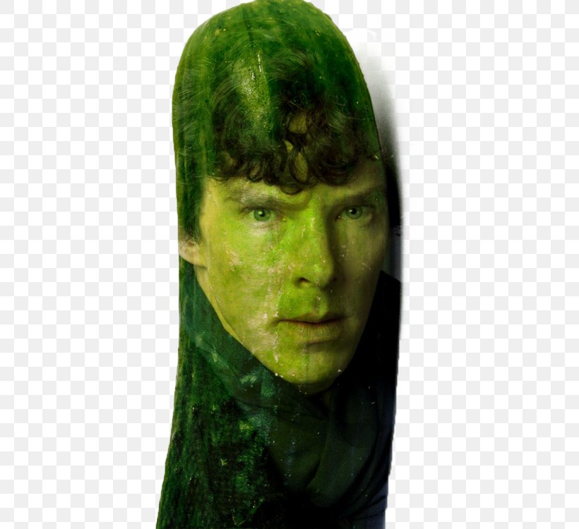 Benedict Cumberbatch Sherlock Smaug Cucumber, PNG, 380x750px, Benedict Cumberbatch, Blog, Cucumber, Face, Green Download Free