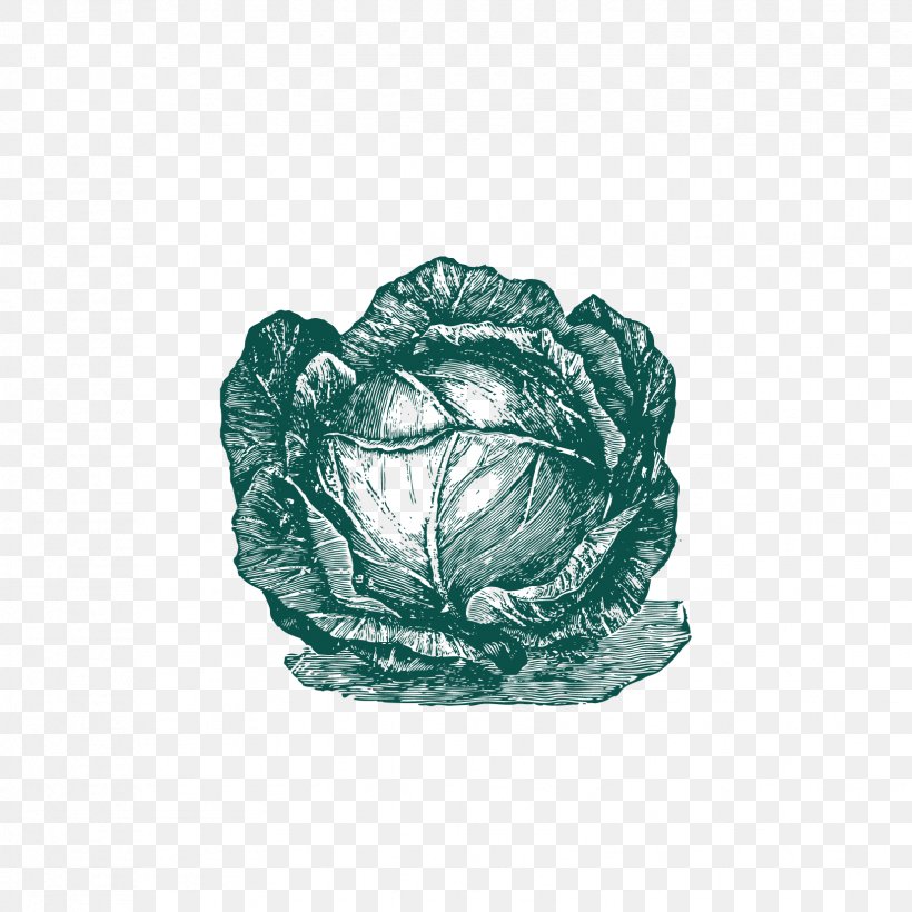 Cabbage Cauliflower Vegetable, PNG, 1654x1654px, Cabbage, Brassica Oleracea, Cauliflower, Chinese Cabbage, Flickr Download Free