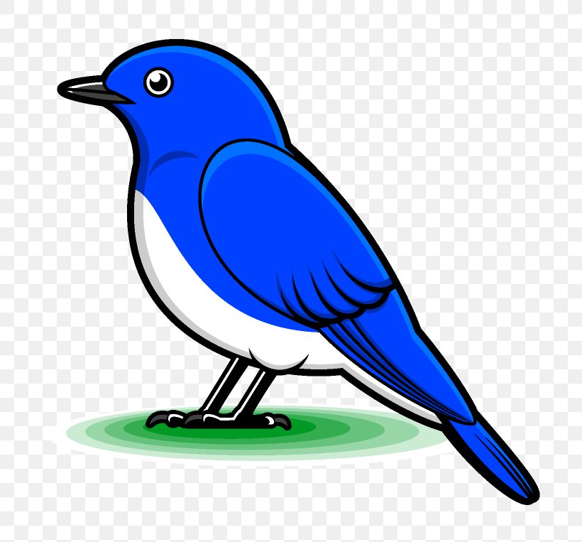 Bird Chicken 野鳥 Clip Art, PNG, 720x763px, Bird, Animal, Artwork, Beak, Birdwatching Download Free