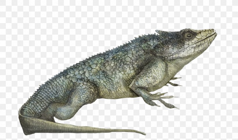 Common Iguanas Chameleons Dragon Lizards Amphibian Crocodiles, PNG, 979x580px, Common Iguanas, Agamidae, Amphibian, Animal, Chameleon Download Free