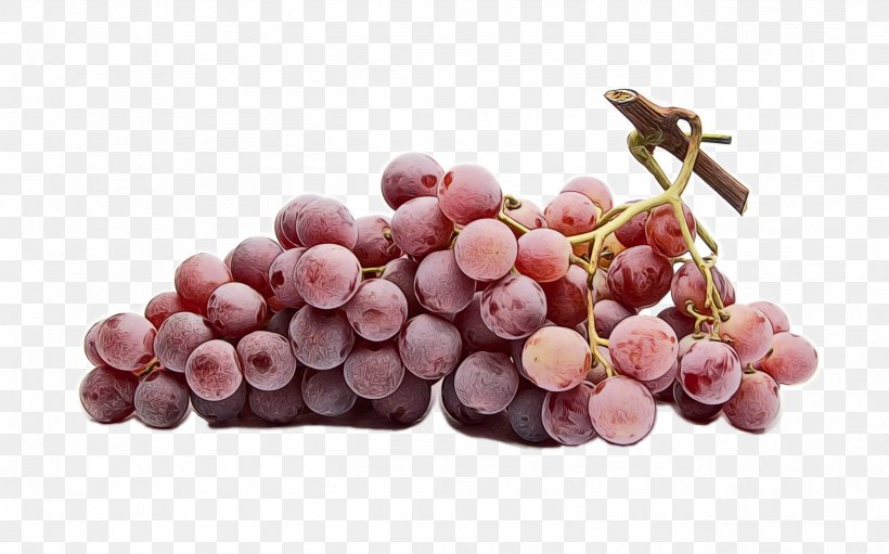 Grape Grapevine Family Fruit Vitis Seedless Fruit, PNG, 2596x1619px, Watercolor, Food, Fruit, Grape, Grapevine Family Download Free