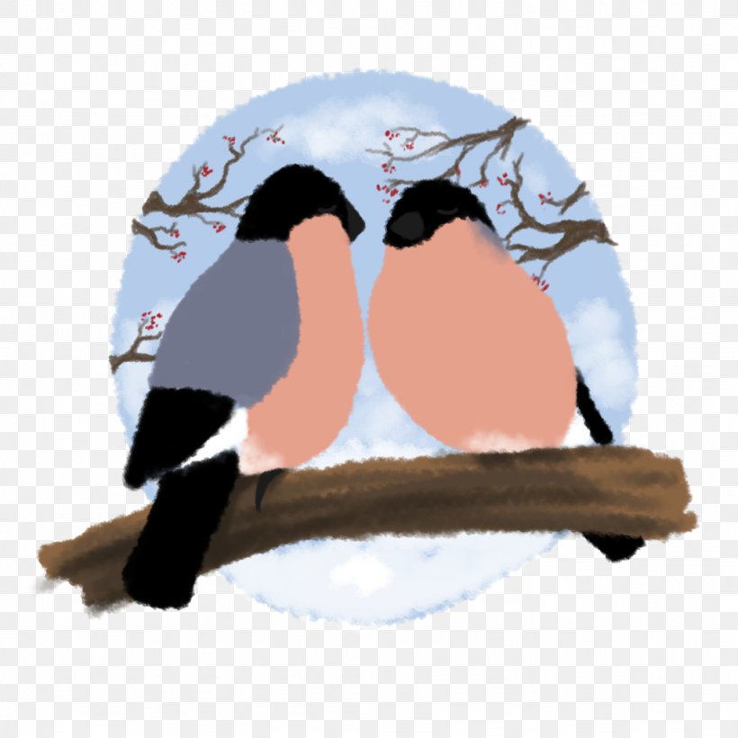 Penguin Beak, PNG, 1024x1024px, Penguin, Beak, Bird, Flightless Bird Download Free