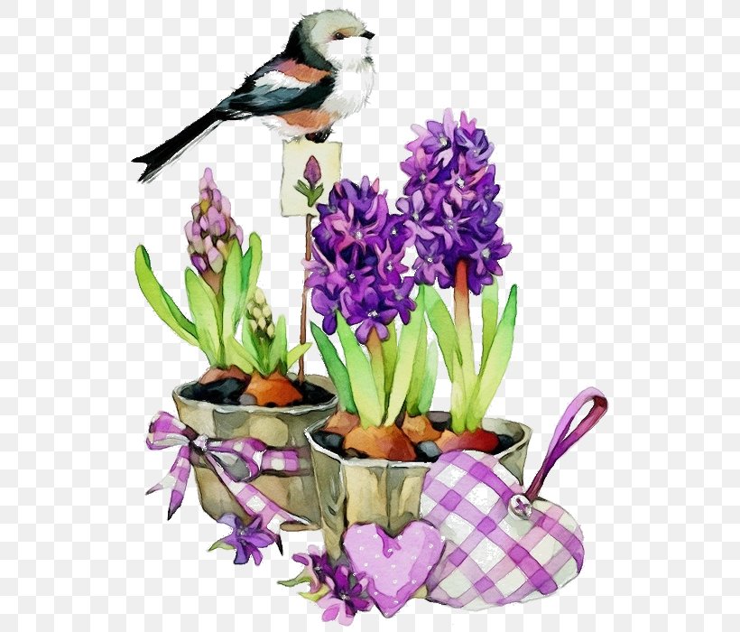 Purple Watercolor Flower, PNG, 573x700px, Watercolor, Bird, Crocus, Cut Flowers, Dendrobium Download Free