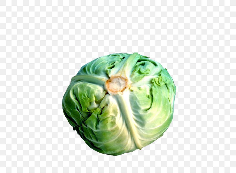 Cabbage Cauliflower Broccoli Brussels Sprout Vegetable, PNG, 600x601px, Cabbage, Brassica Oleracea, Broccoli, Brussels Sprout, Cauliflower Download Free