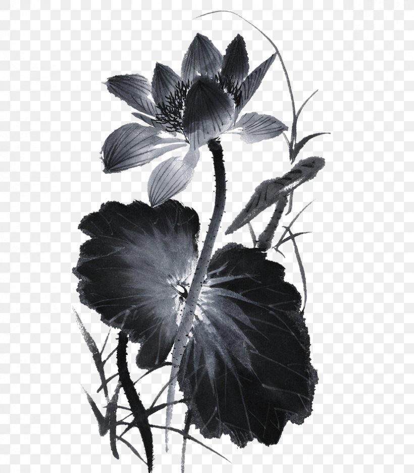 Ink Wash Painting Chinese Painting Nelumbo Nucifera Gongbi, PNG, 827x945px, Ink Wash Painting, Art, Birdandflower Painting, Black And White, Chinese Art Download Free