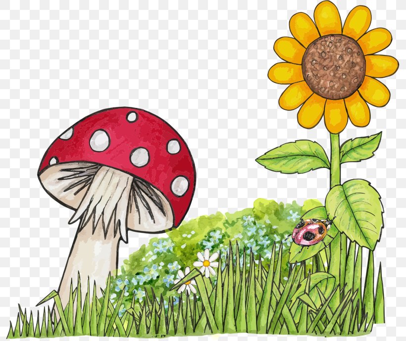 Mushroom Pixabay Drawing Illustration, PNG, 795x689px, Mushroom, Child Art, Daisy, Daisy Family, Dandelion Download Free