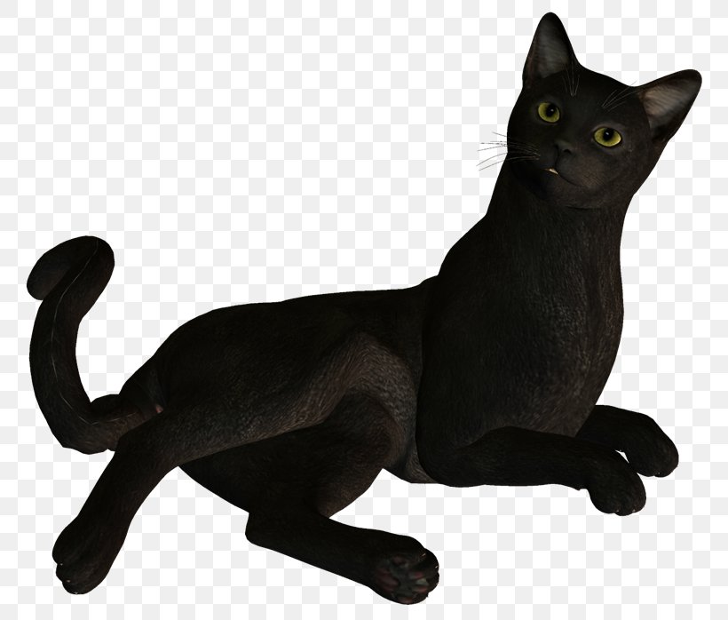 Black Cat Bombay Cat Korat Domestic Short-haired Cat Image, PNG, 800x698px, Black Cat, Animal Figure, Asian, Black, Blog Download Free