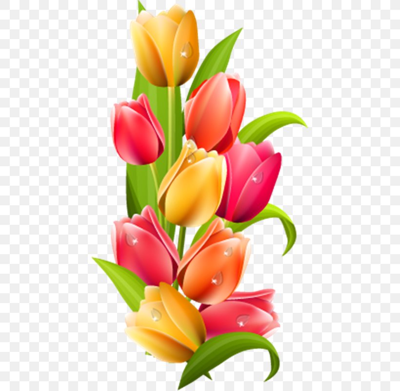 Flower Tulip Clip Art, PNG, 444x800px, Flower, Cut Flowers, Floral Design, Floristry, Flower Arranging Download Free