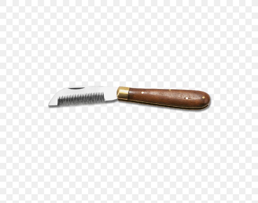 Horse Grooming Equestrian Stable Mane, PNG, 567x648px, Horse, Brush, Cold Weapon, Equestrian, Equestrian Sport Download Free