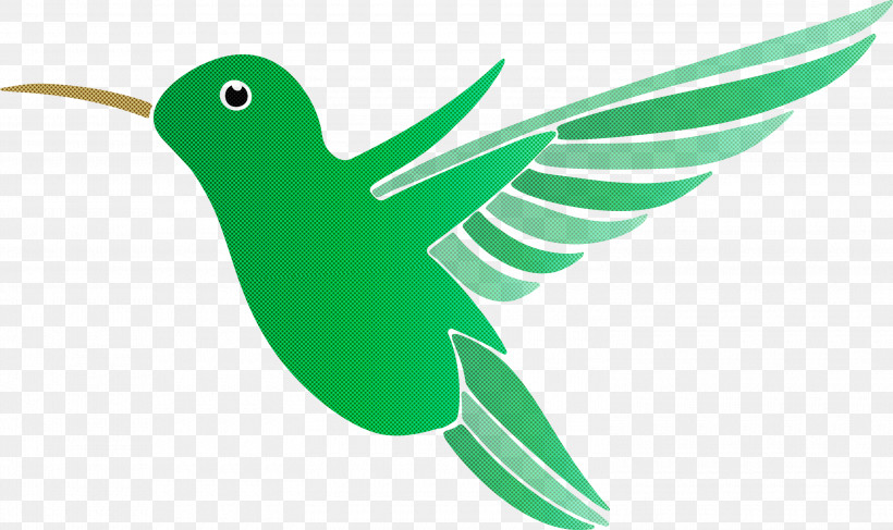 Hummingbird, PNG, 3000x1785px, Cartoon Bird, Beak, Bird, Cute Bird, Hummingbird Download Free
