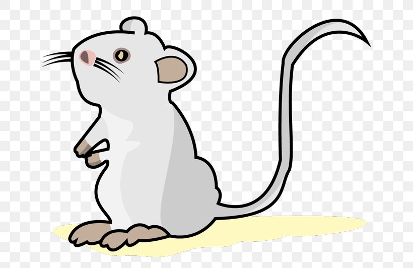 Mouse Whiskers Rat Cat Clip Art, PNG, 705x532px, Mouse, Animal, Animal Figure, Antibody, Artwork Download Free