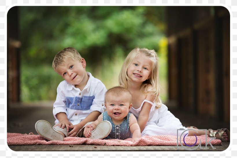 Portrait Photography Family Videography, PNG, 960x640px, Portrait Photography, Child, Community, Family, Infant Download Free