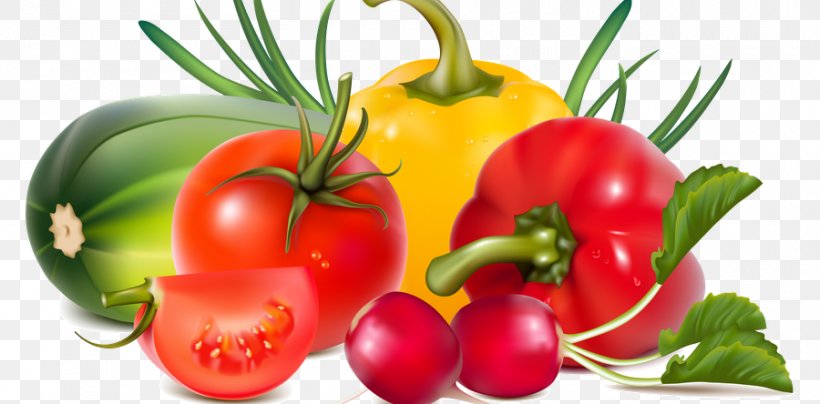 Vegetable Fruit, PNG, 900x444px, Vegetable, Bell Pepper, Bell Peppers And Chili Peppers, Berry, Bush Tomato Download Free