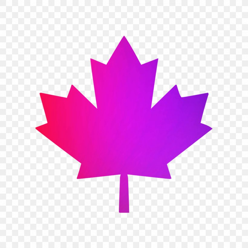 Flag Of Canada Sweatshirt Maple Leaf, PNG, 1400x1400px, Canada, Clothing, Flag, Flag Of Canada, Leaf Download Free