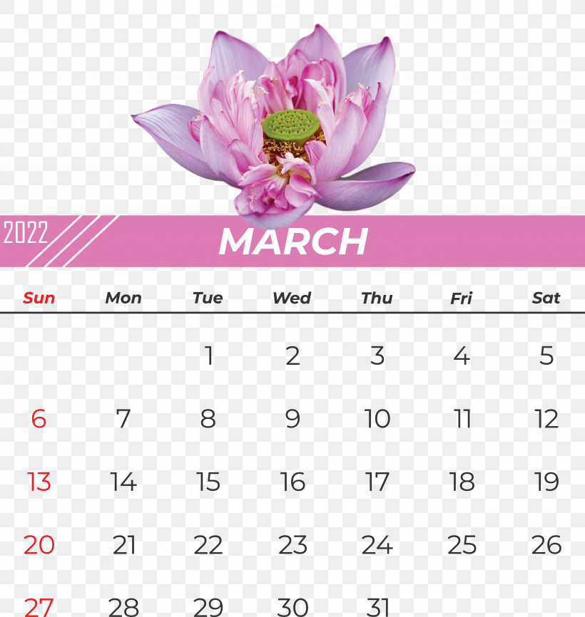 Flower Calendar Font Pink M Meter, PNG, 5545x5861px, Flower, Biology, Calendar, Meter, Pink M Download Free
