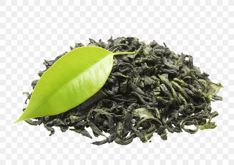 Green Tea Organic Food Organic India Black Tea, PNG, 4042x2858px, Tea, Assam Tea, Bai Mudan, Bancha, Biluochun Download Free