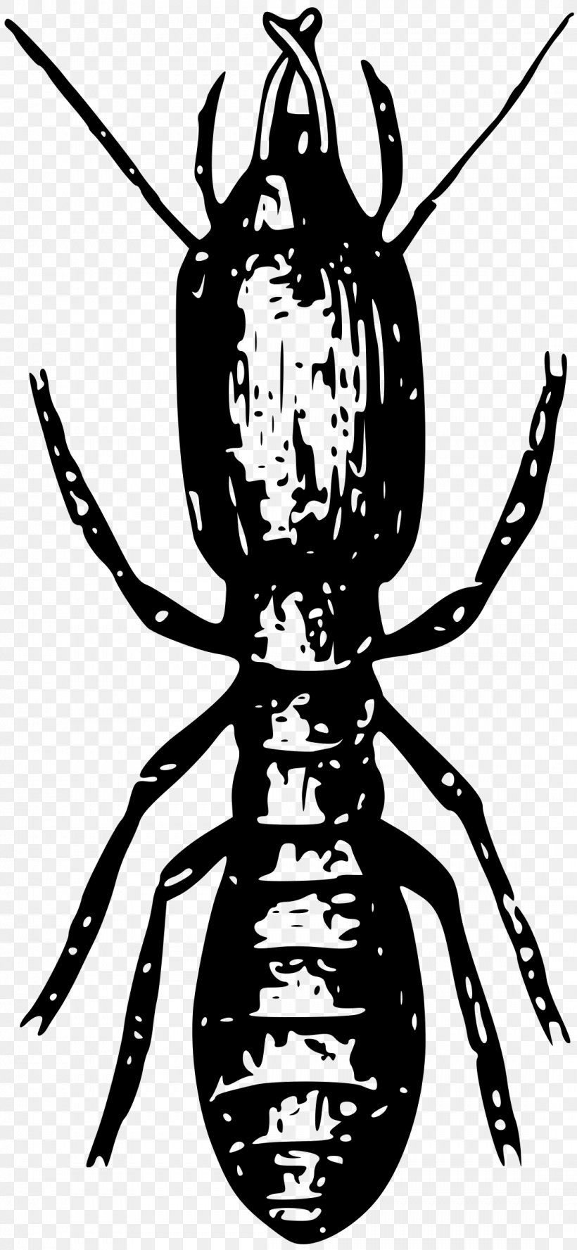 Insect Termite Clip Art, PNG, 1107x2400px, Insect, Art, Arthropod, Artwork, Black And White Download Free