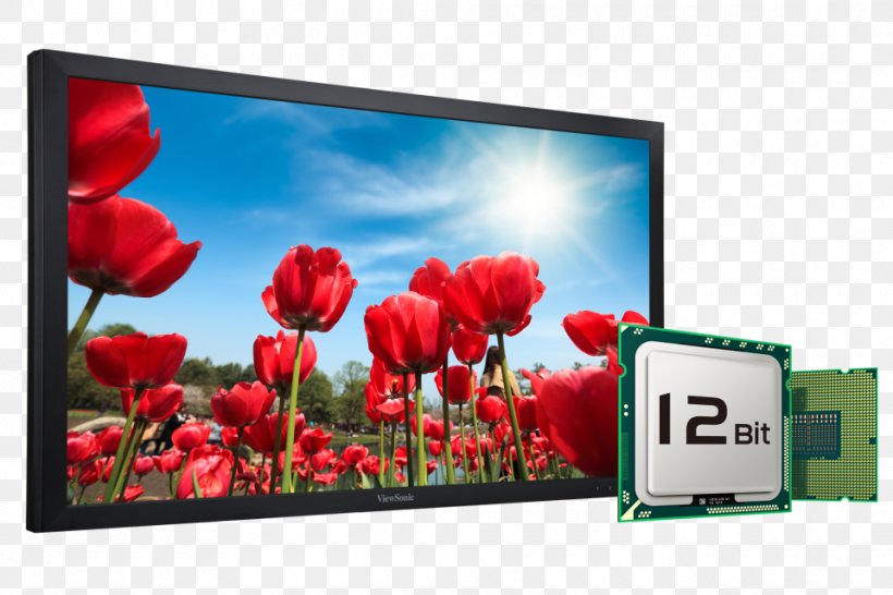 LG Television Set 1080p High-definition Television LED-backlit LCD, PNG, 960x640px, Television Set, Advertising, Component Video, Computer Monitor, Display Advertising Download Free