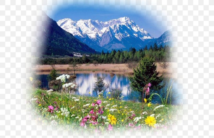 Saint Mary Lake Desktop Wallpaper Tatra Mountains Swiss Alps Hotel, PNG, 700x529px, 8k Resolution, Saint Mary Lake, Ecosystem, Flora, Flower Download Free