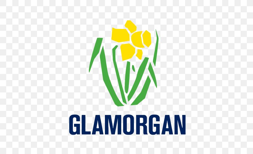 Glamorgan County Cricket Club The SSE SWALEC County Championship Surrey County Cricket Club Somerset County Cricket Club, PNG, 500x500px, County Championship, Area, Brand, Cardiff, County Cricket Download Free