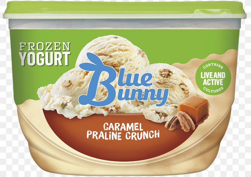Ice Cream Praline Frozen Yogurt Flavor, PNG, 847x600px, Ice Cream, Brand, Caramel, Cream, Dairy Product Download Free