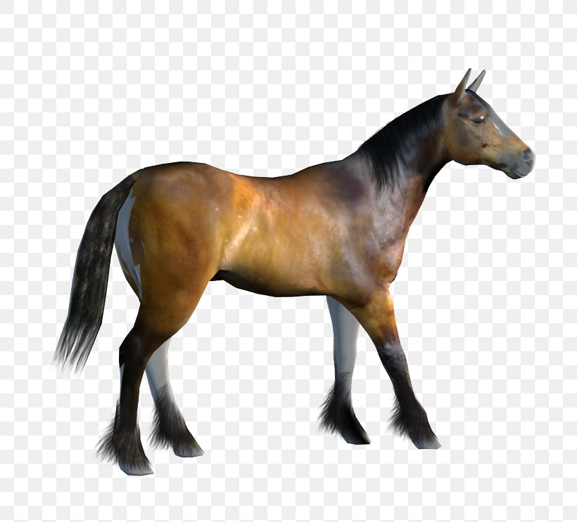 Mustang Pony Animation Clip Art, PNG, 805x743px, 3d Modeling, Mustang, Animation, Colt, Computer Graphics Download Free