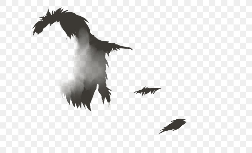 Bald Eagle Beak Vulture Feather White, PNG, 640x500px, Bald Eagle, Beak, Bird, Bird Of Prey, Black And White Download Free