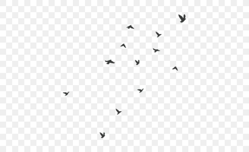 Bird Flight Flock Domestic Pigeon Swallow, PNG, 500x500px, Bird, Abziehtattoo, Animal Migration, Area, Beak Download Free