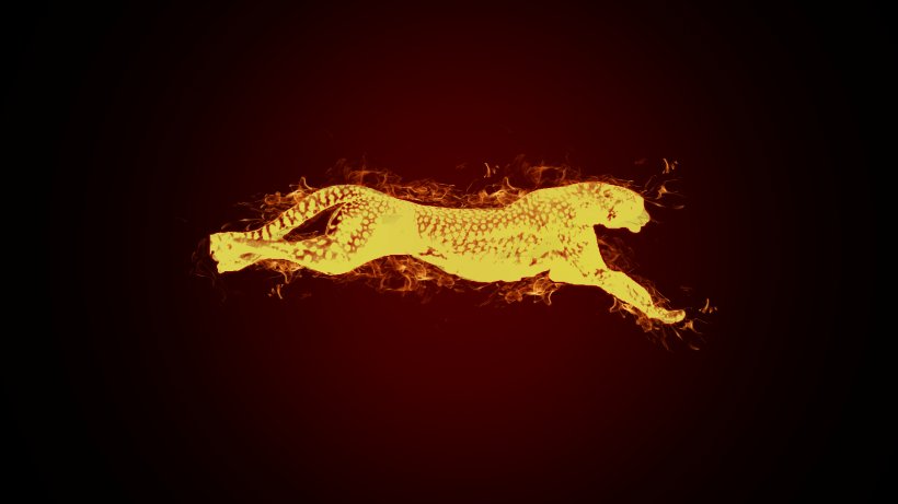 Cheetah backgrounds for iphone HD wallpapers  Pxfuel