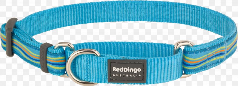 Dingo Dog Collar Martingale Poodle, PNG, 3000x1091px, Dingo, Aqua, Blue, Collar, Dog Download Free