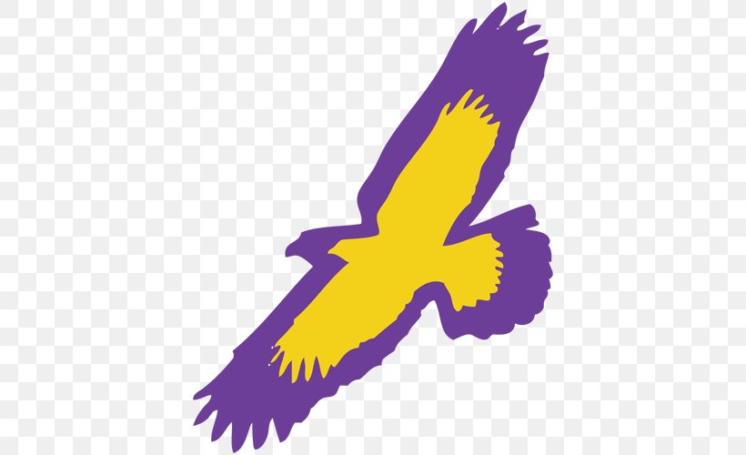 Elmira College Soaring Eagles Men's Basketball Elmira College Soaring Eagles Women's Basketball Utica College, PNG, 500x500px, Utica College, Accipitridae, Accipitriformes, Basketball, Beak Download Free