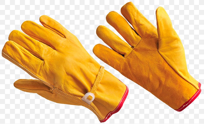 Evening Glove Fist Latex Hand, PNG, 818x501px, Glove, Digit, Evening Glove, Finger, Fist Download Free