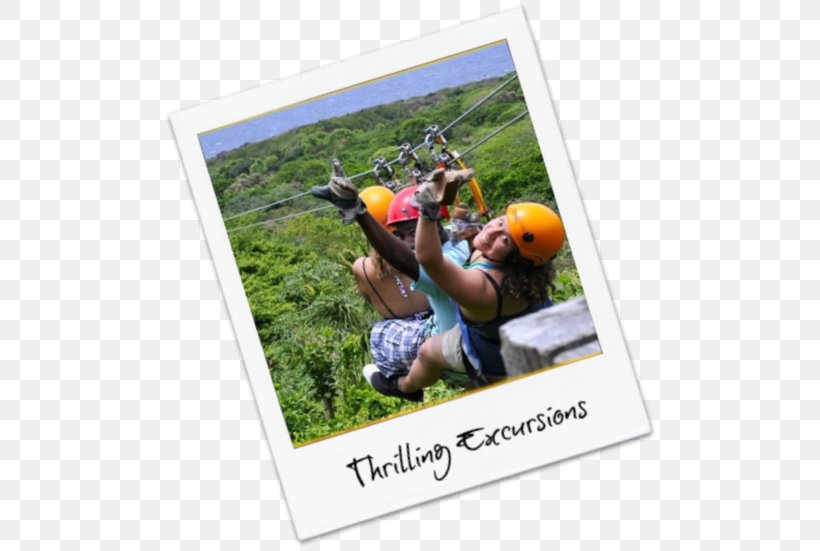 Advertising Vacation Recreation Zip-line Google Play, PNG, 502x551px, Advertising, Google Play, Grass, Leisure, Play Download Free