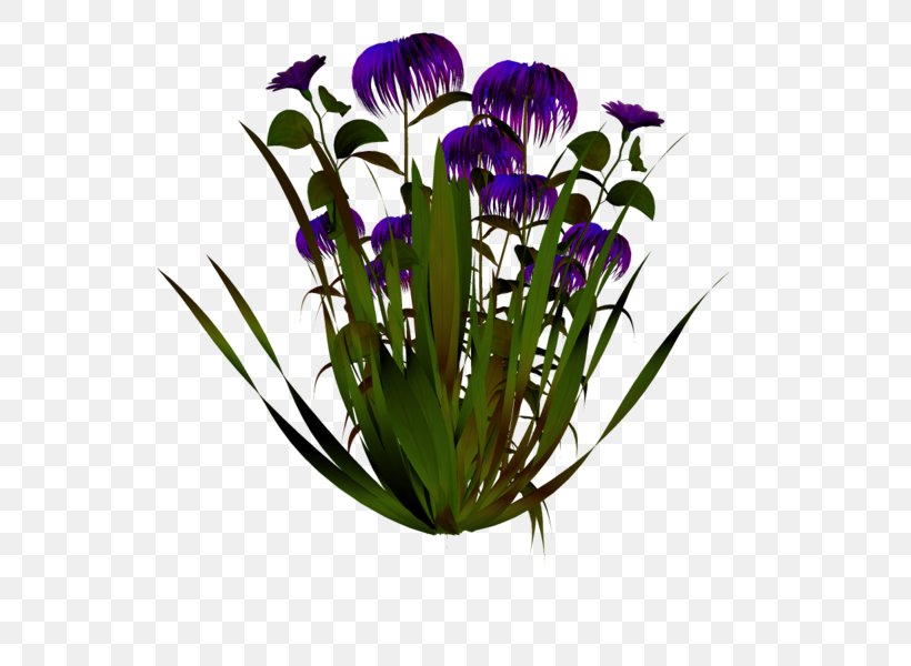 Cut Flowers Flowerpot Flowering Plant, PNG, 600x600px, Cut Flowers, Flower, Flowering Plant, Flowerpot, Plant Download Free