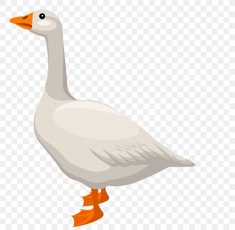 Duck Domestic Goose Cygnini, PNG, 800x800px, Duck, Beak, Bird, Cartoon, Cygnini Download Free