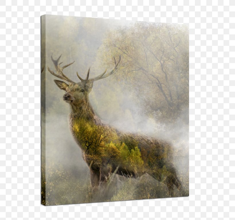 Elk Canvas Print Deer Art, PNG, 601x768px, Elk, Antler, Art, Artist, Canvas Download Free
