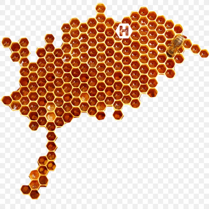 Insect Honeycomb, PNG, 1024x1024px, Insect, Honeycomb, Membrane Winged Insect, Orange Download Free