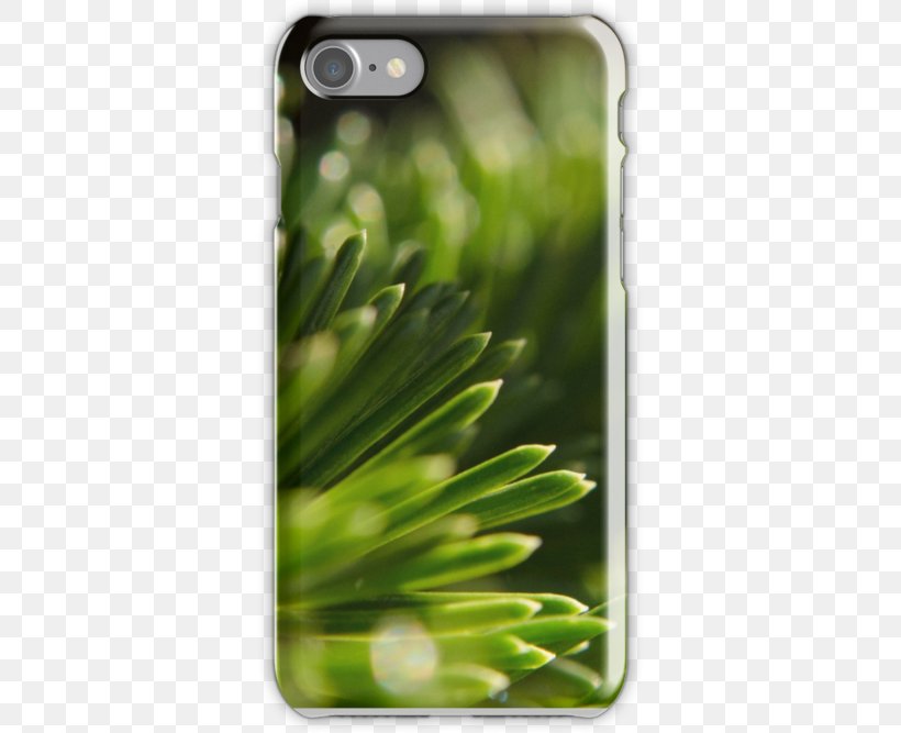 Nature Photography Tasche Tote Bag, PNG, 500x667px, Photography, Bag, Grass, Green, Leaf Download Free