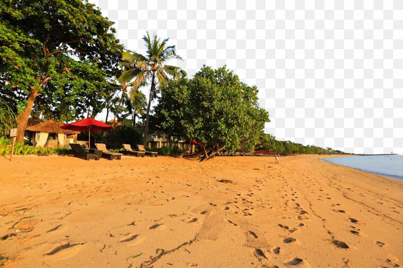 Sandy Beach, PNG, 1200x799px, Sandy Beach, Aeolian Landform, Beach, Desert, Dune Download Free
