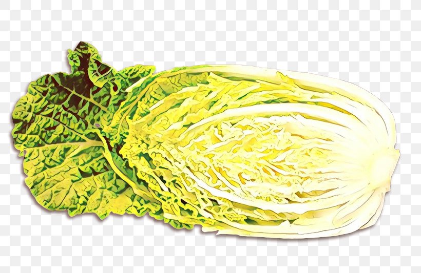 Vegetables Cartoon, PNG, 800x533px, Romaine Lettuce, Cabbage, Chinese Cabbage, Food, Iceburg Lettuce Download Free