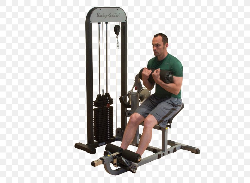 Abdomen Human Back Muscle Smith Machine Weight Training, PNG, 600x600px, Abdomen, Abdominal Exercise, Arm, Bench, Calf Download Free