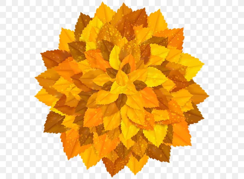 Autumn Clip Art, PNG, 599x600px, Autumn, Decorative Arts, Editing, Flower, Header Download Free