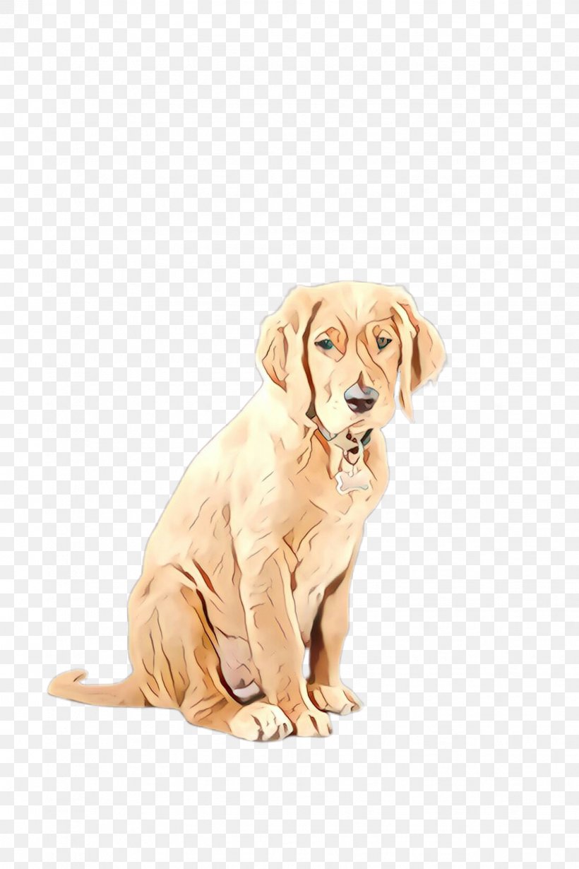 Dog Dog Breed Labrador Retriever Golden Retriever Retriever, PNG, 1632x2448px, Cartoon, Dog, Dog Breed, Golden Retriever, Labrador Retriever Download Free
