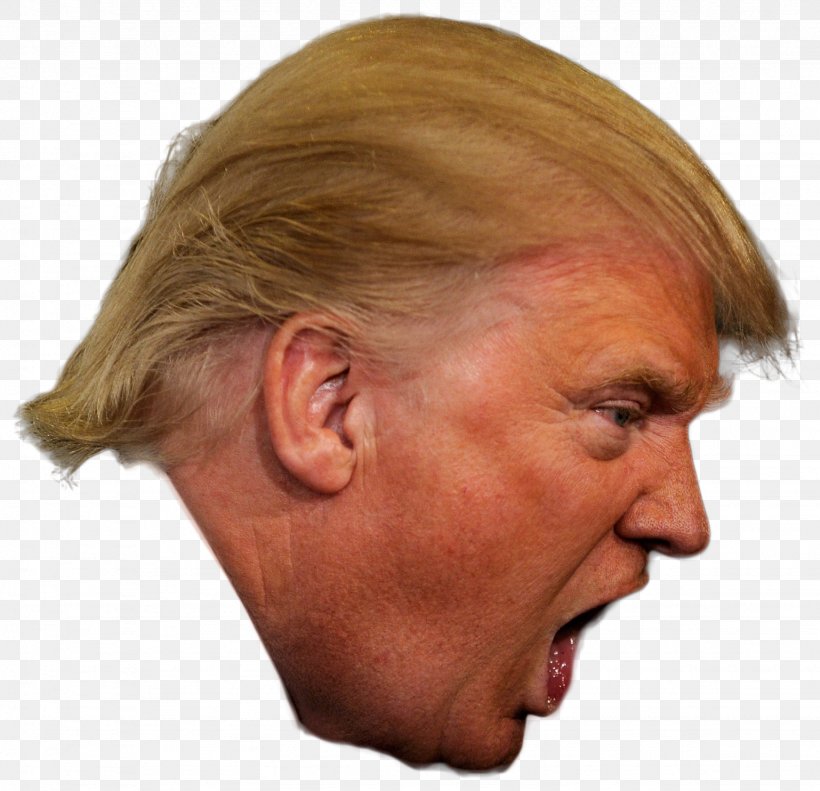 Donald Trump President Of The United States Republican Party Politics, PNG, 1538x1484px, Donald Trump, Cheek, Chin, Close Up, Ear Download Free
